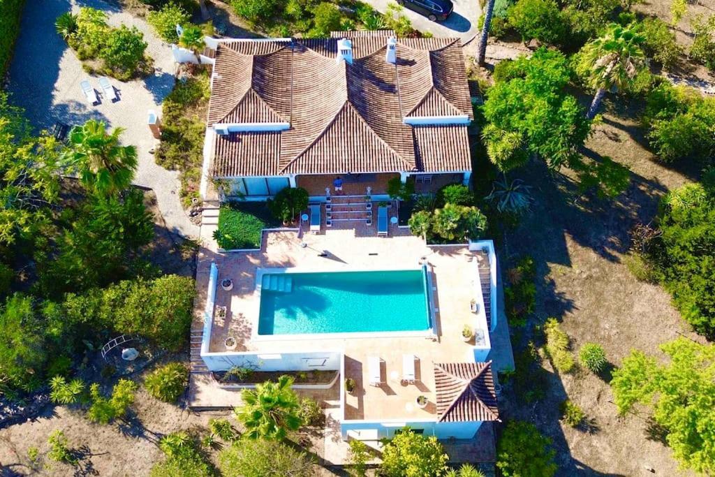 Magical Casa Koi In *