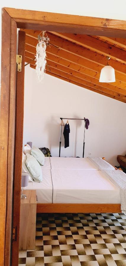 Guest house Casa D'olivia