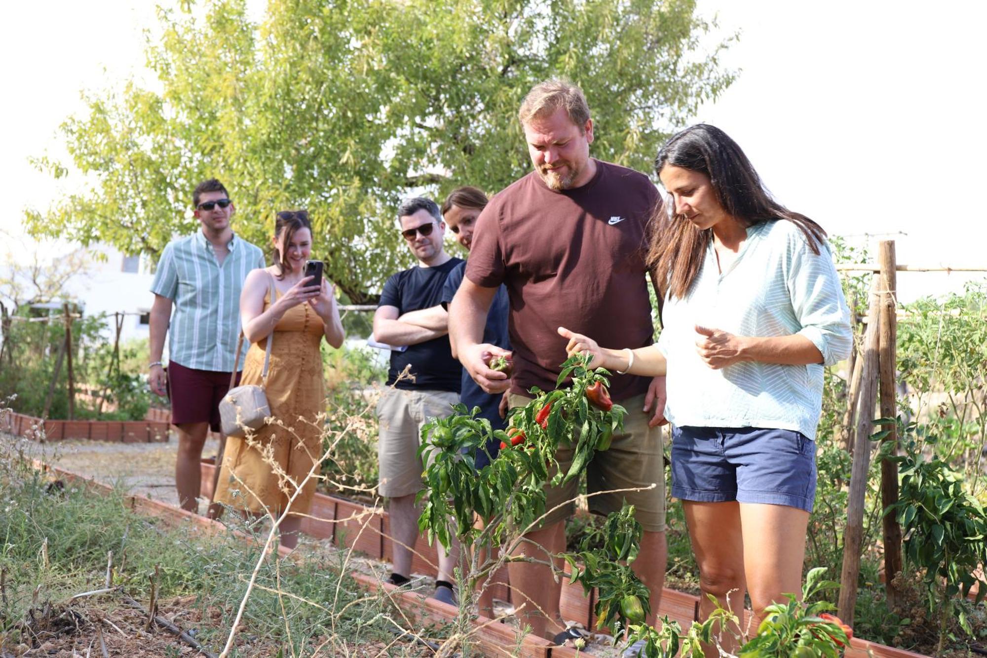 Farm stay Monte Do Alamo - Tavira
