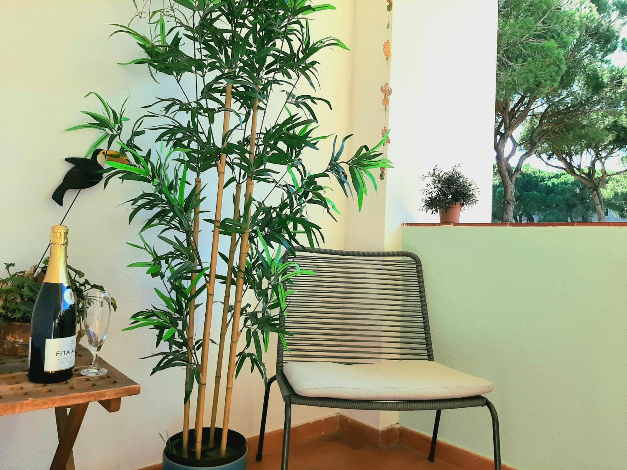 Apartment Amalia