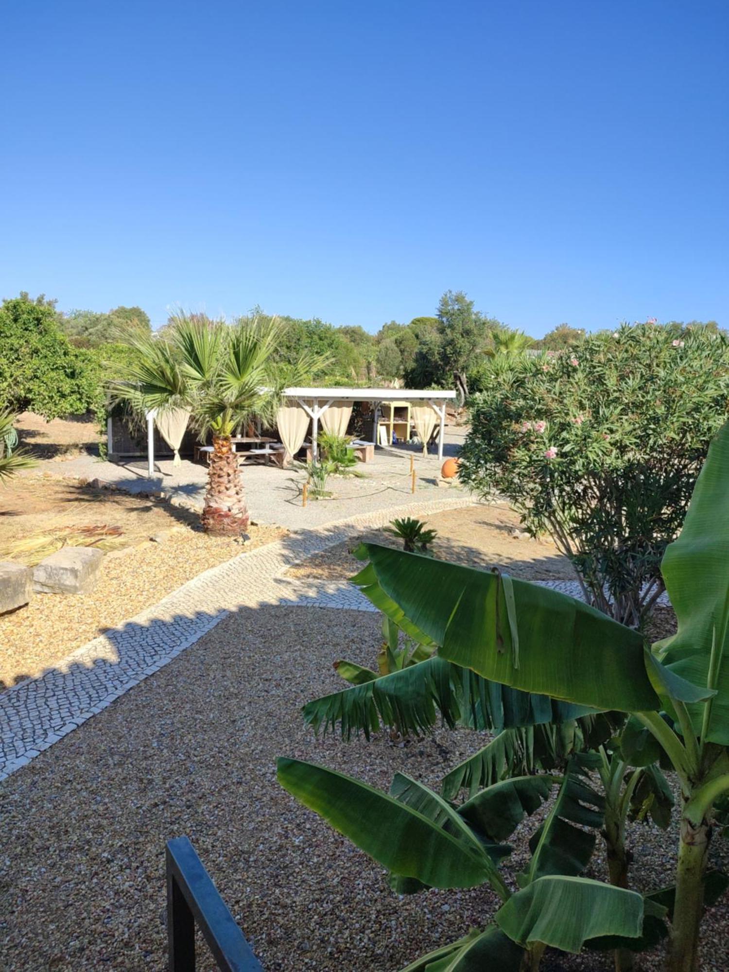 Quinta Pereiro Tropic Garden, Algarve Bed & Breakfast