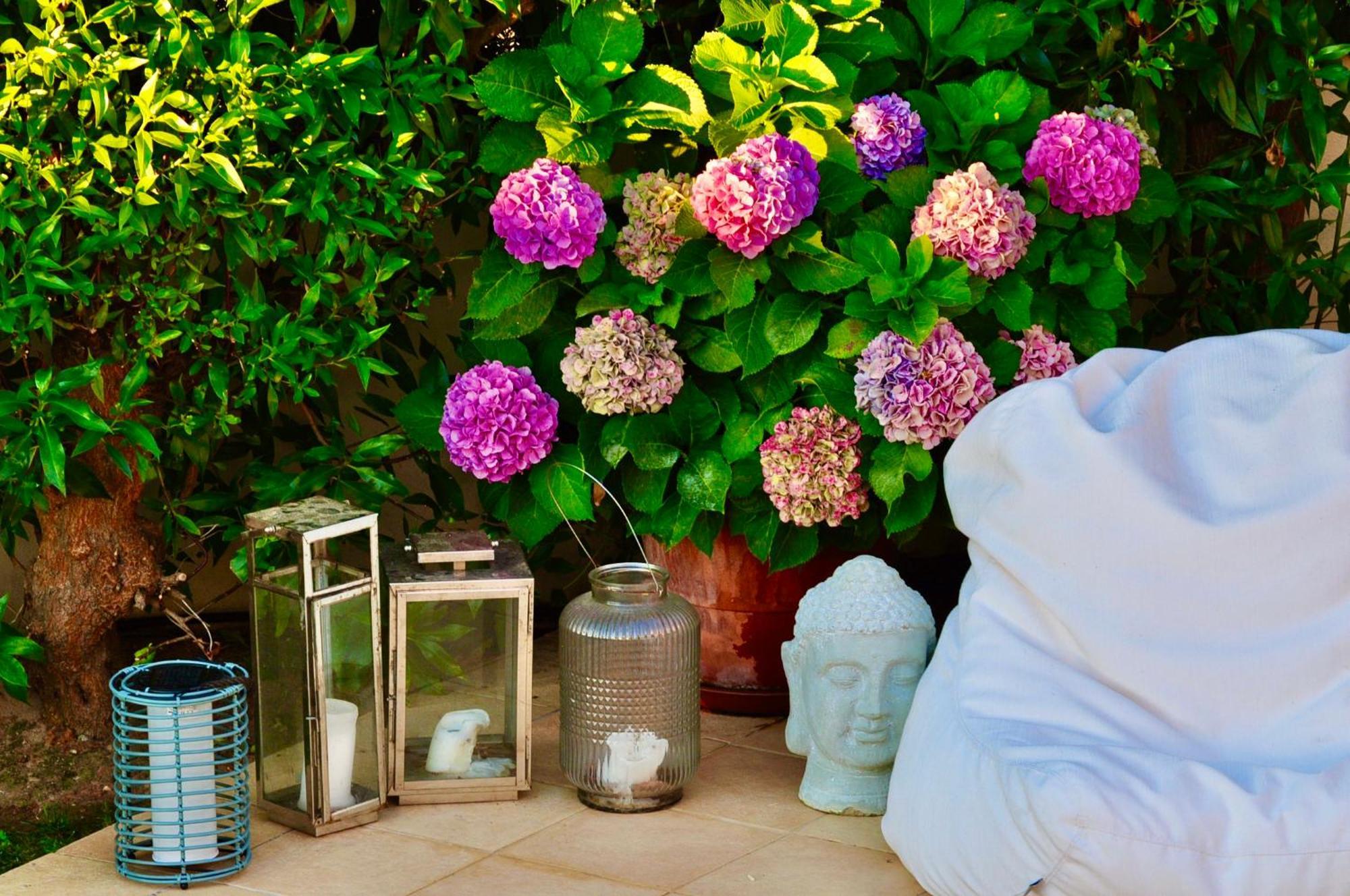 Casa Eleonora Bed & Breakfast