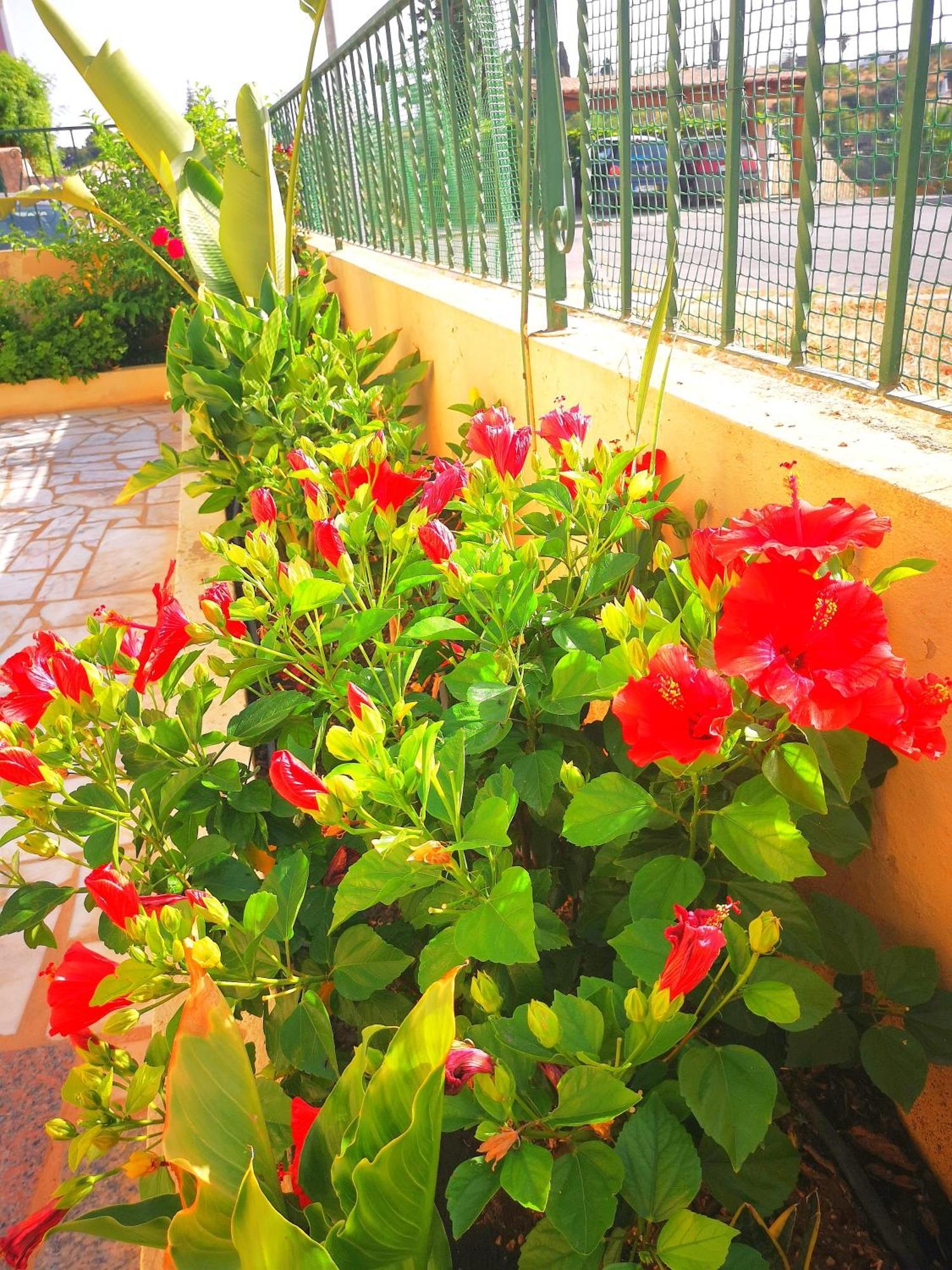 Olival With Pool Walking Distance To Pousada *