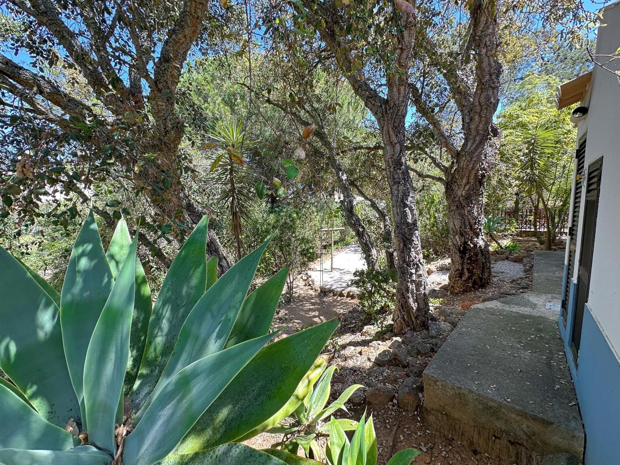 Quinta Do Rosal