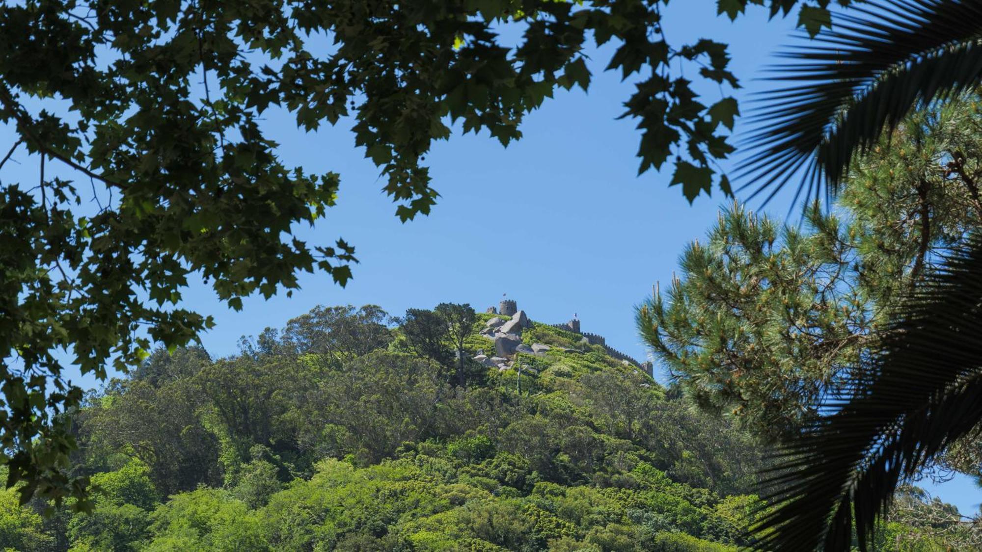 Luxurious Royal Estate In Historic Paradise Villa Sintra