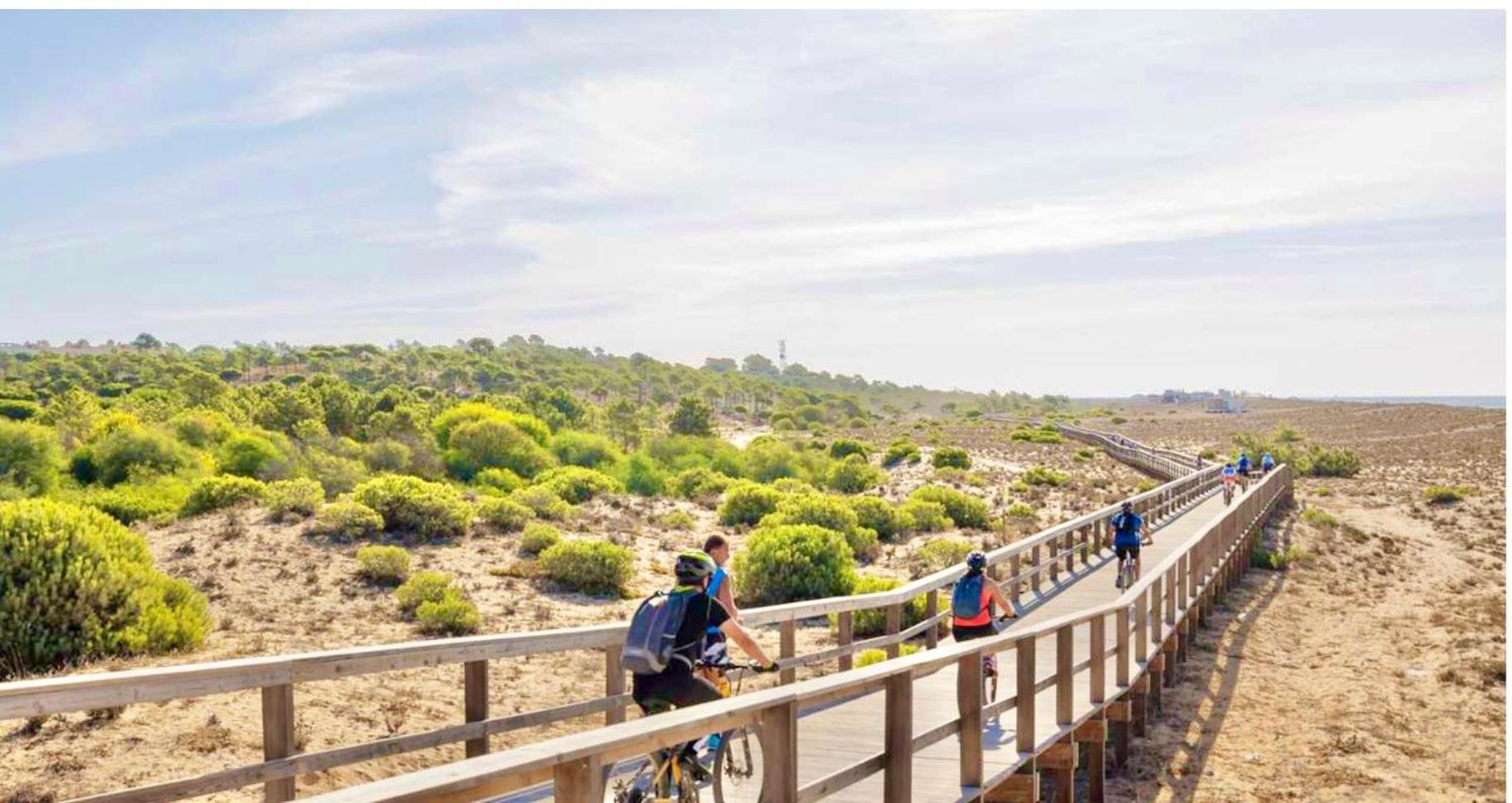 Elegant Seaview Da Rocha Portimao