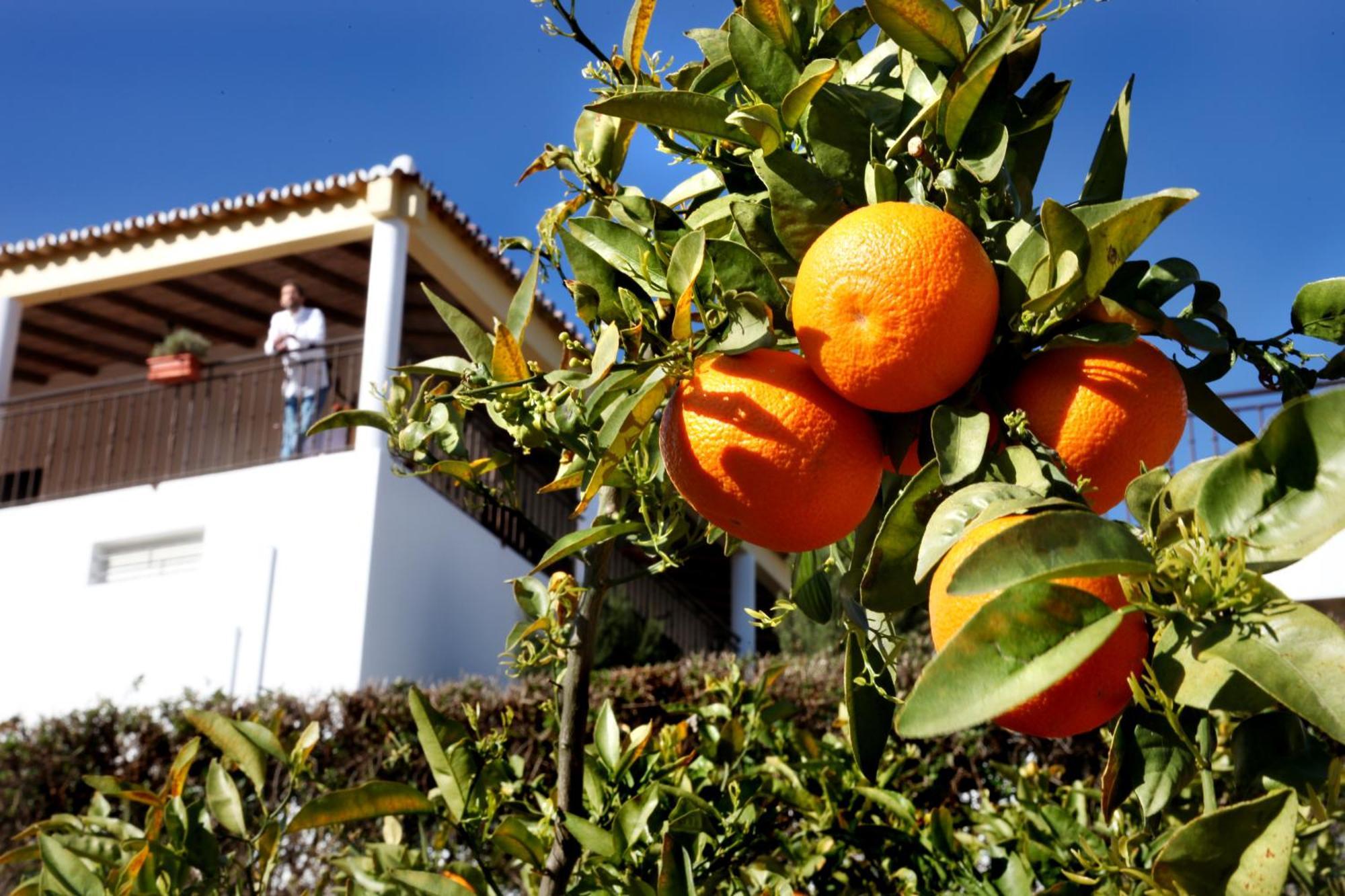 Country house Herdade Da Corte *