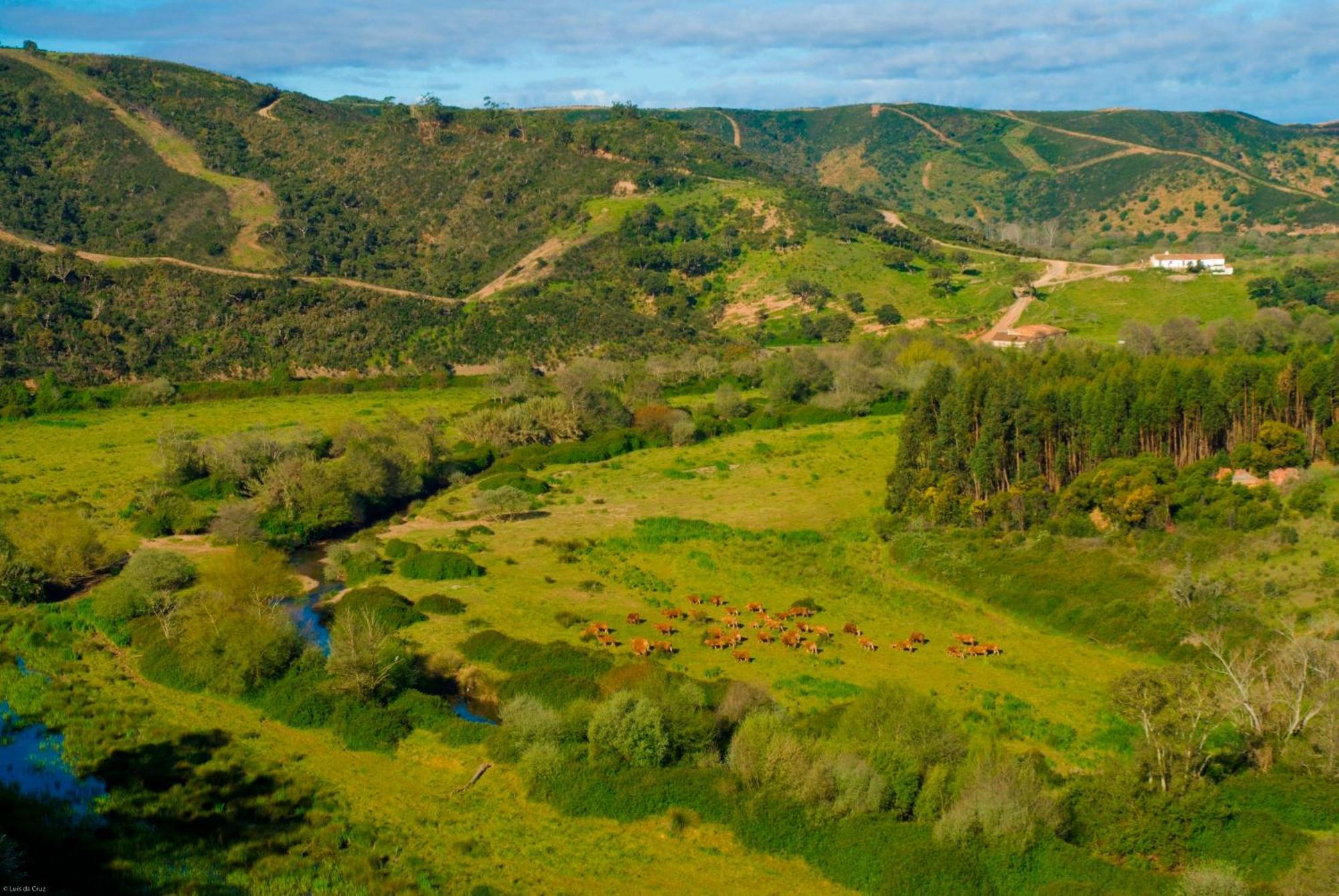 Herdade Da Corte Tavira