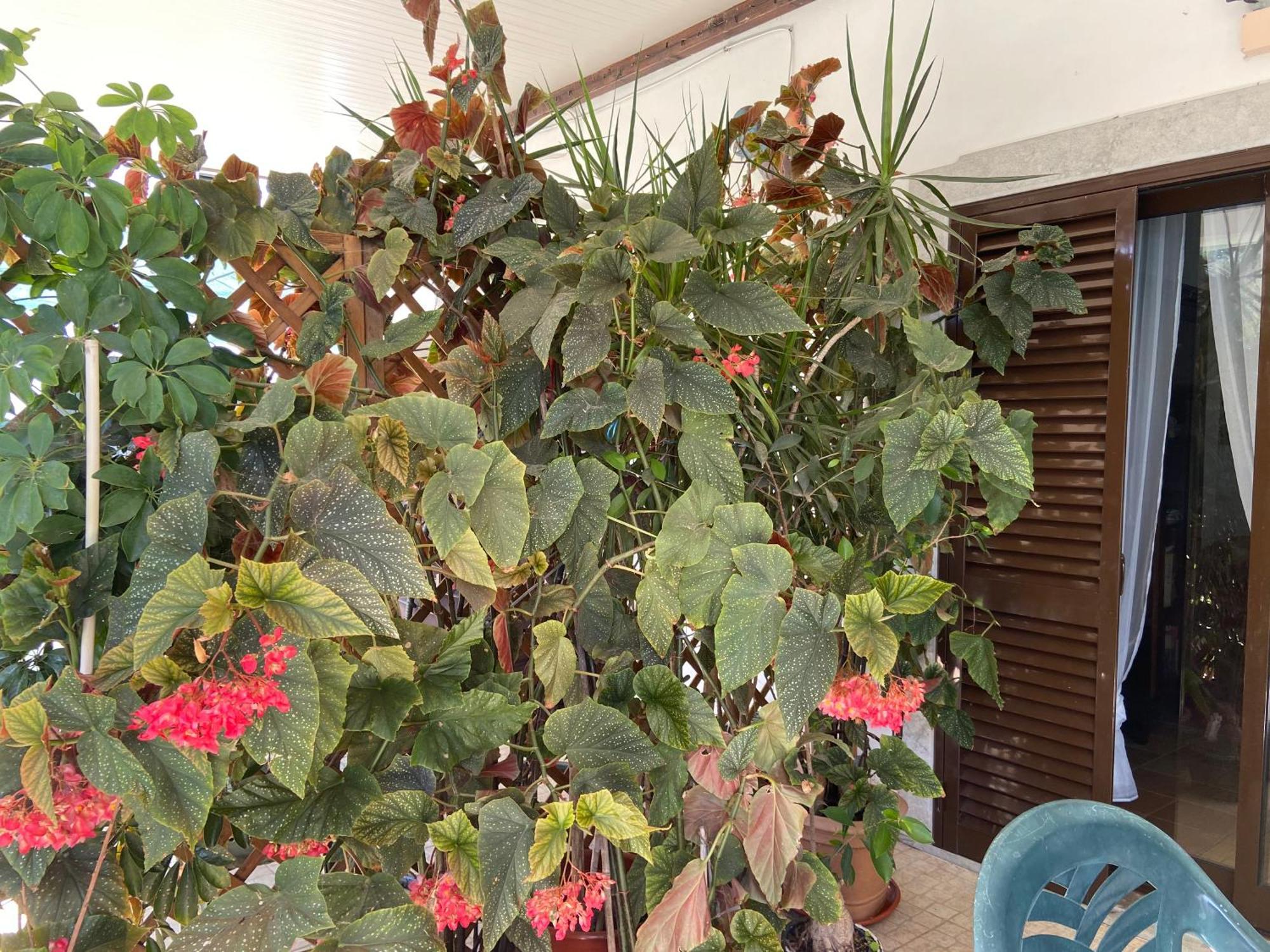 A Casa Da Maria Holiday home *