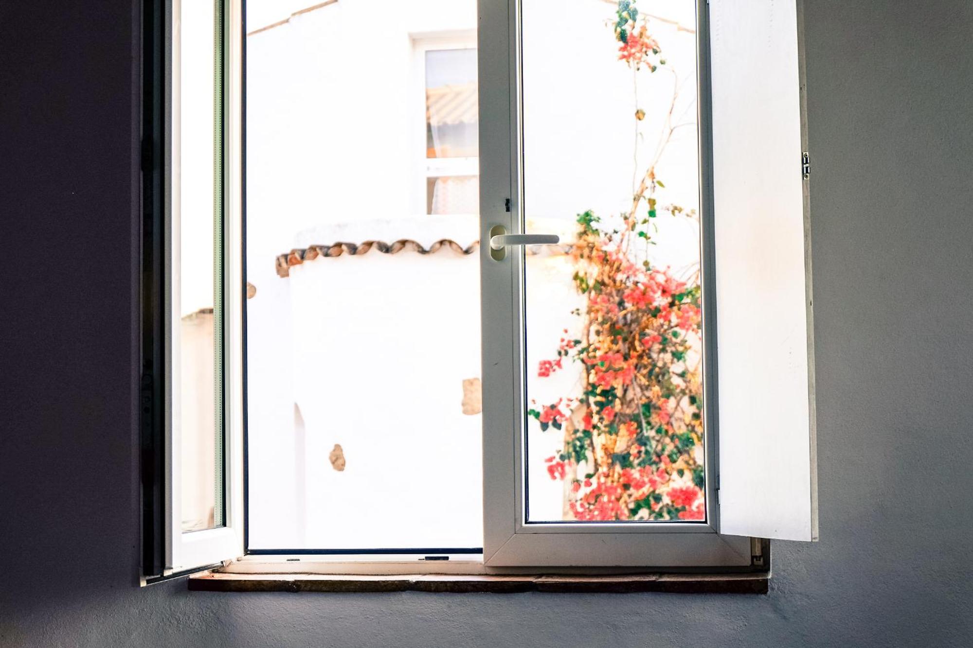 Quinta Dos Cochichos Farm stay *