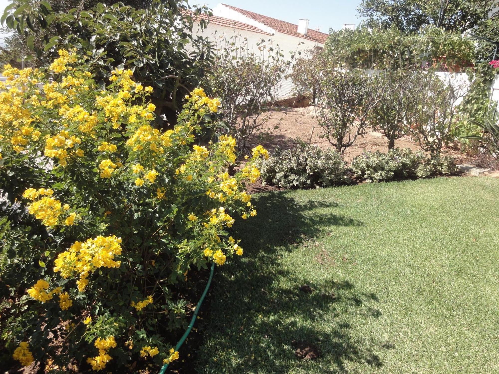 Сasa de vacaciones Orchidea Terrace *
