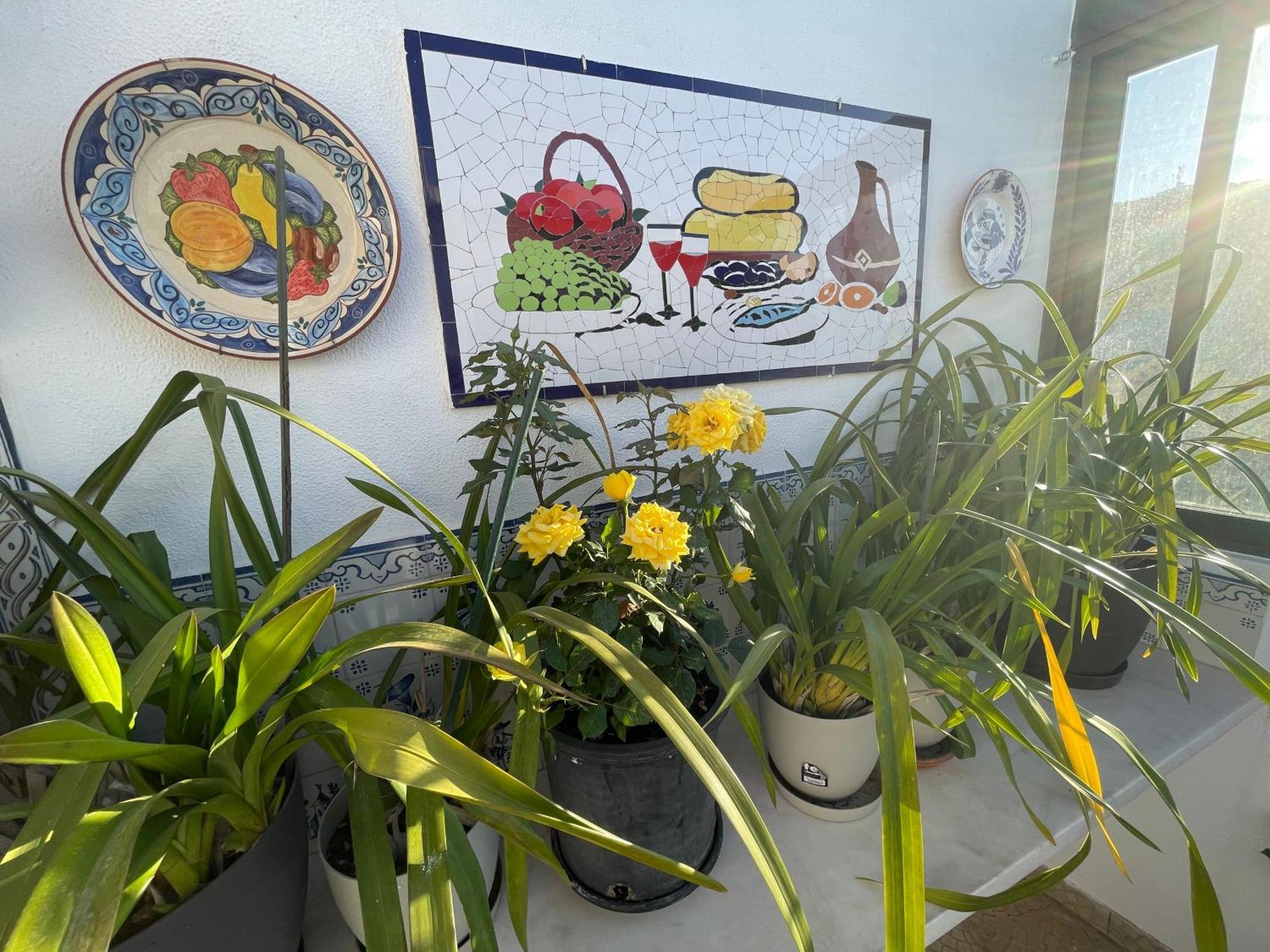 Eden - 1 Apartamento