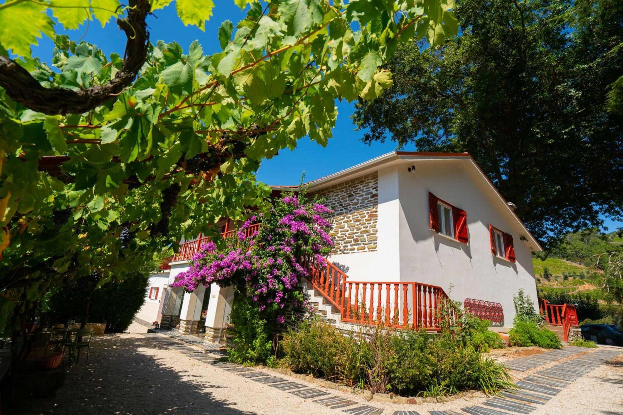 Quinta Da Farm stay *