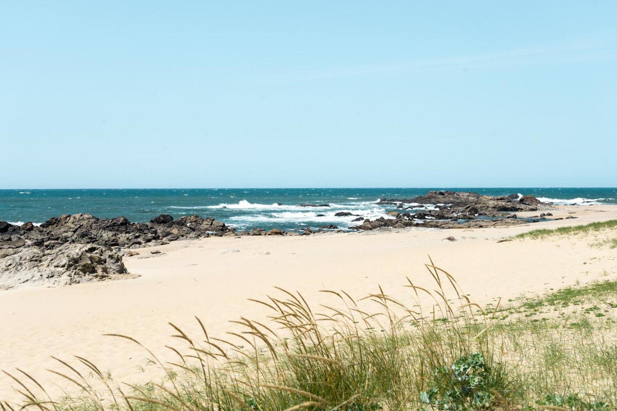 Oporto City And Beach Apartment Lavra