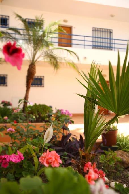 Apartment Atlantic Pearl By The Sea -