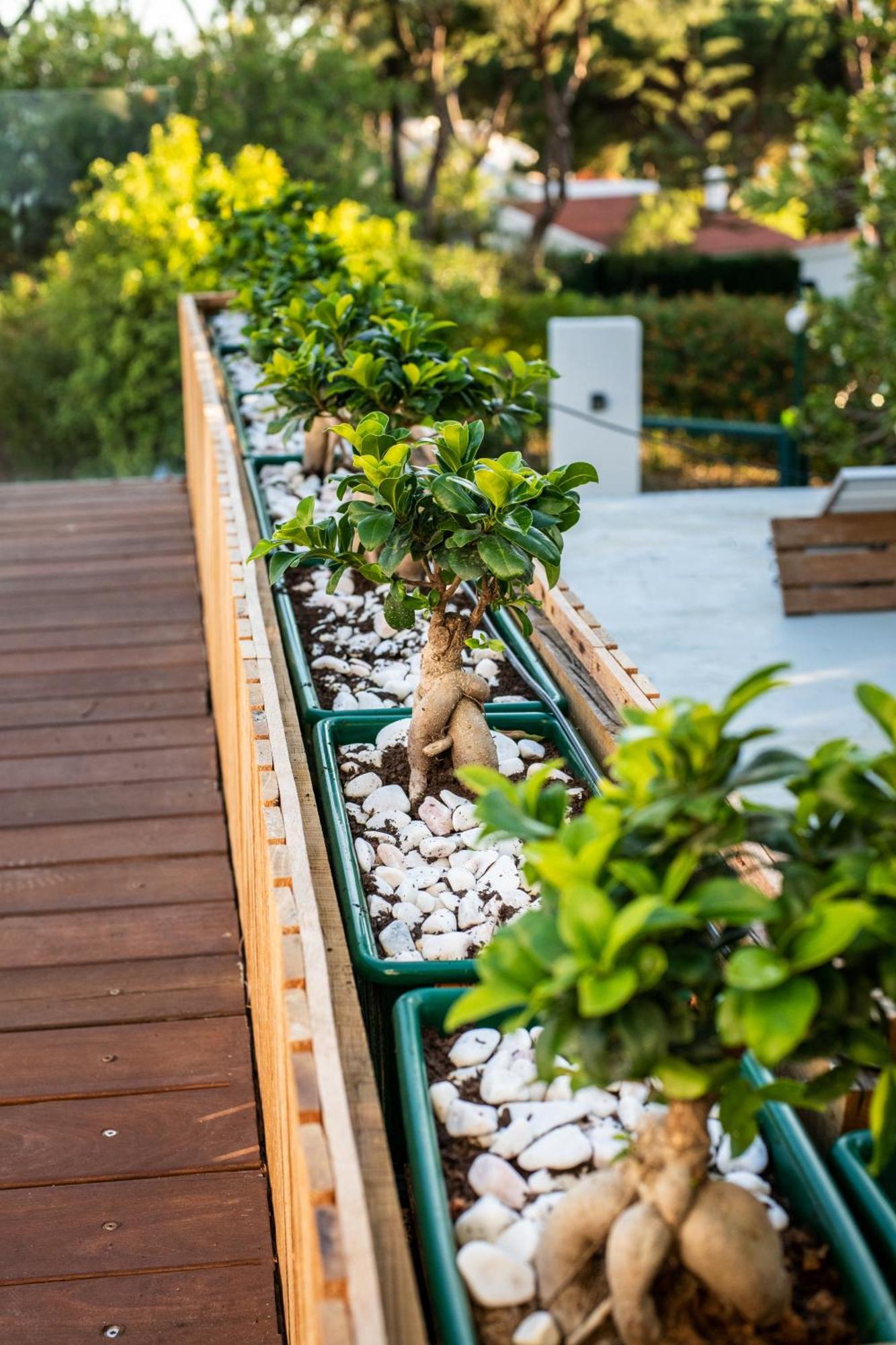 A Energy Bento Box Hot Pool & Sauna