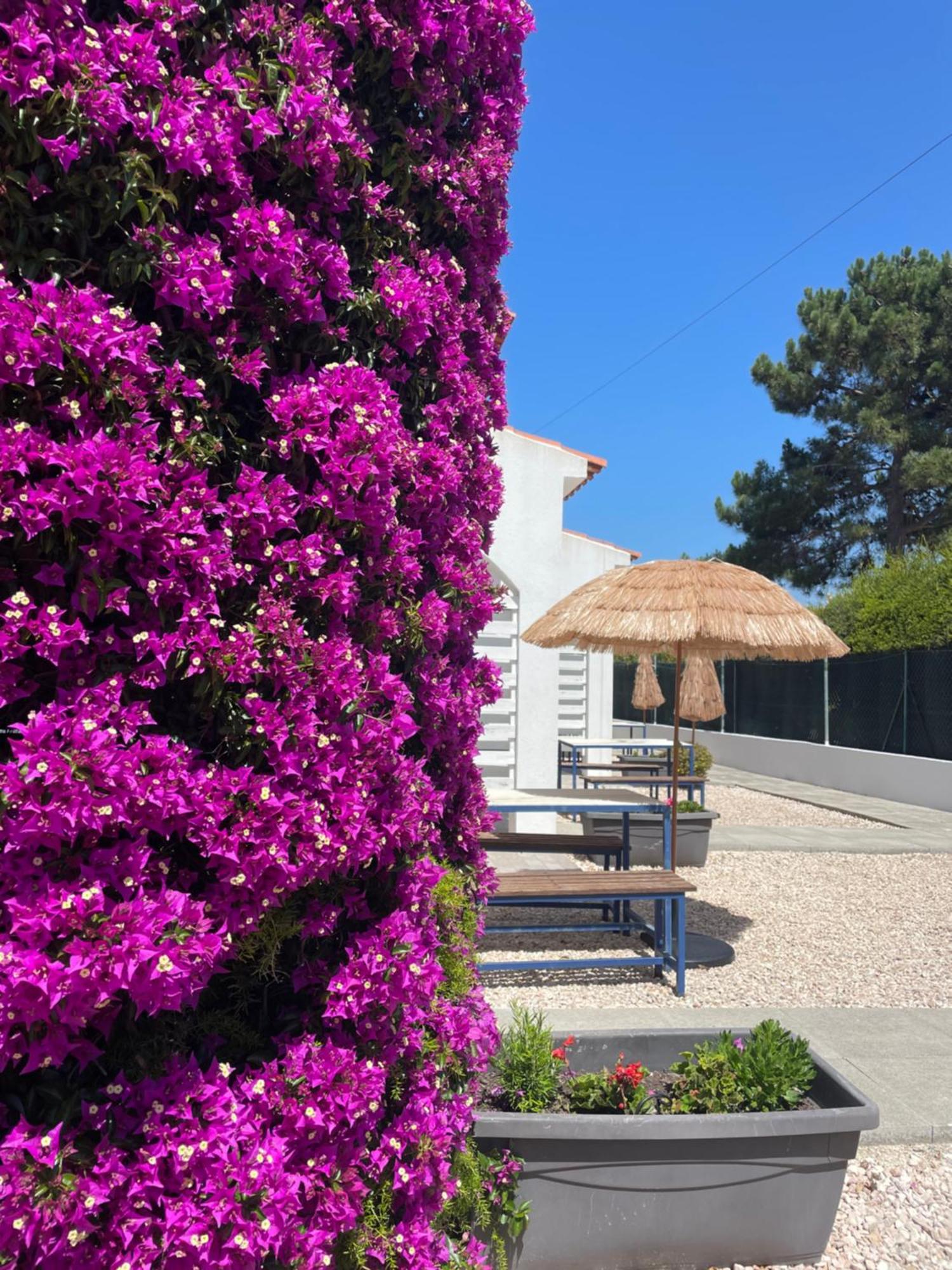 California Dream Holiday park 3*