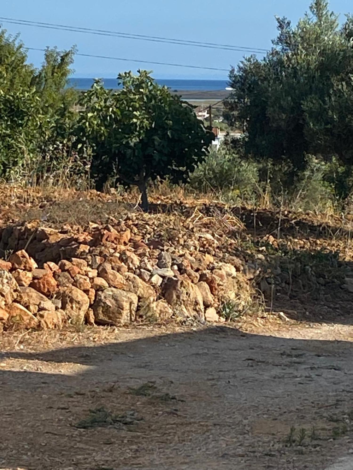 The Retreat - Ria Formosa Hamlet