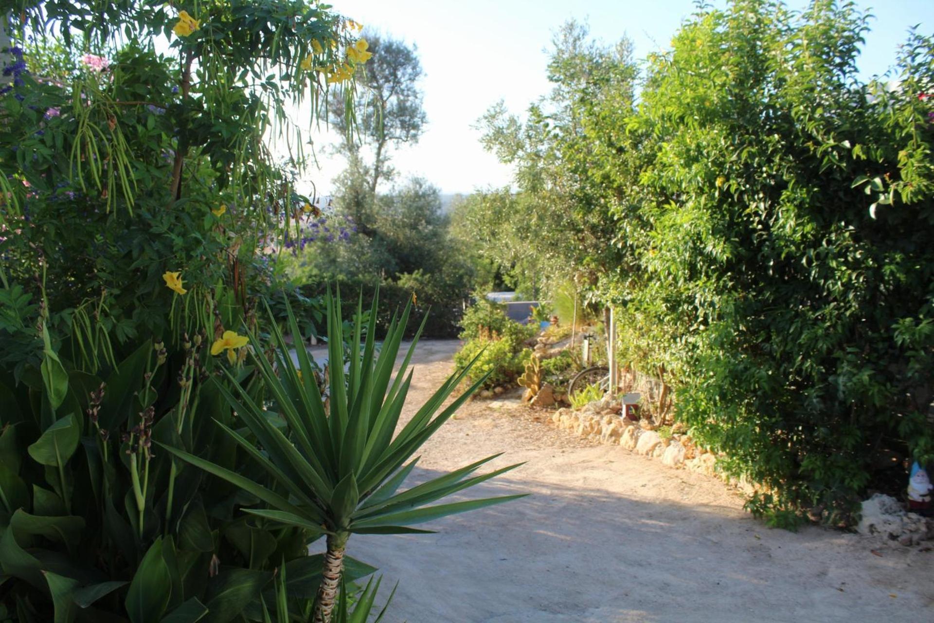 Retiro Dos Sonhos Farm stay Porches (Algarve)