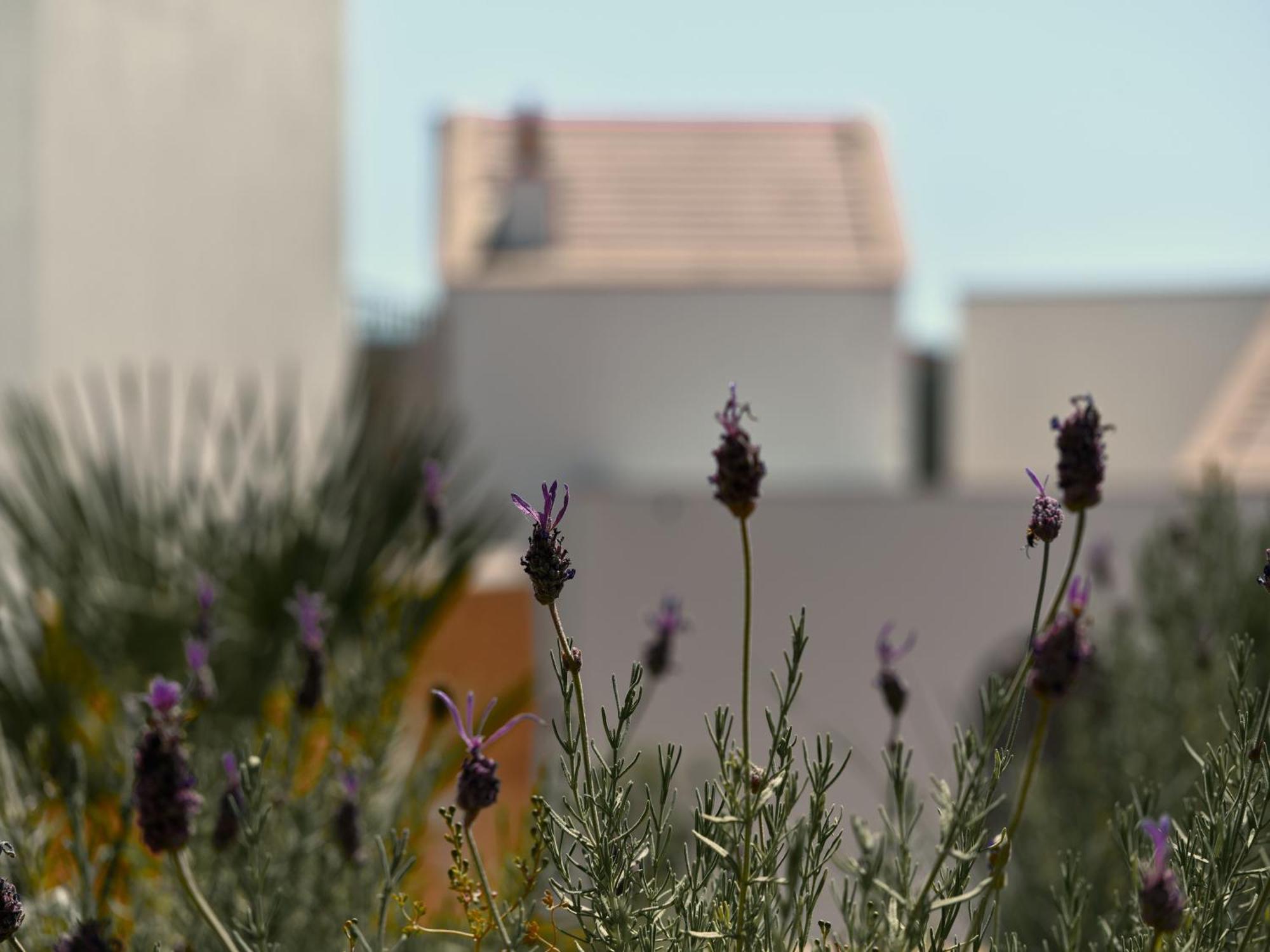 Viceroy At Ombria Algarve 5* Loule