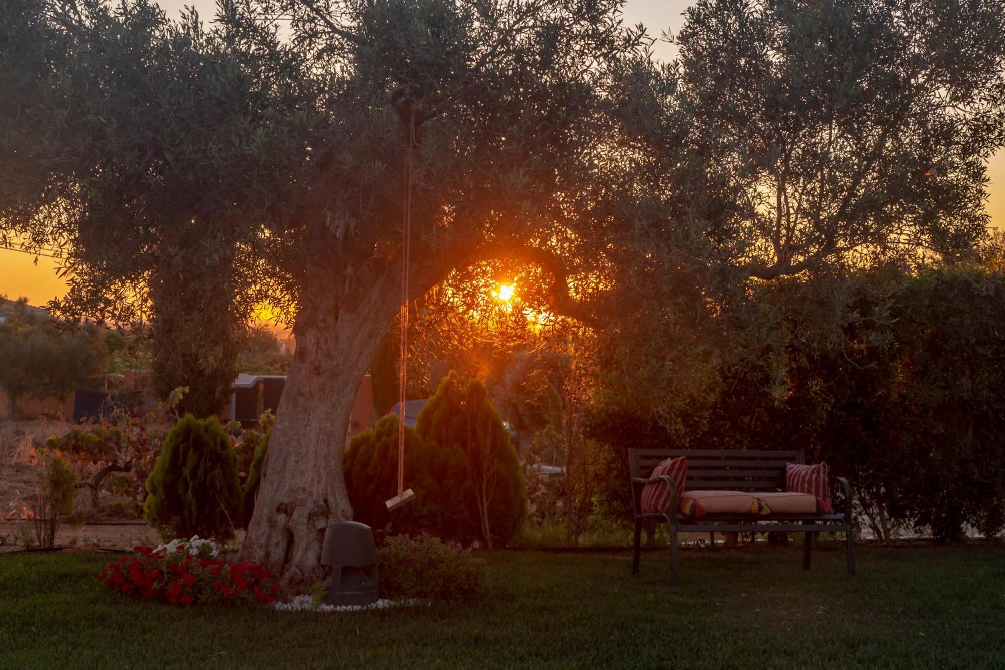 Al Karob Yoga Boutique Bed & Breakfast