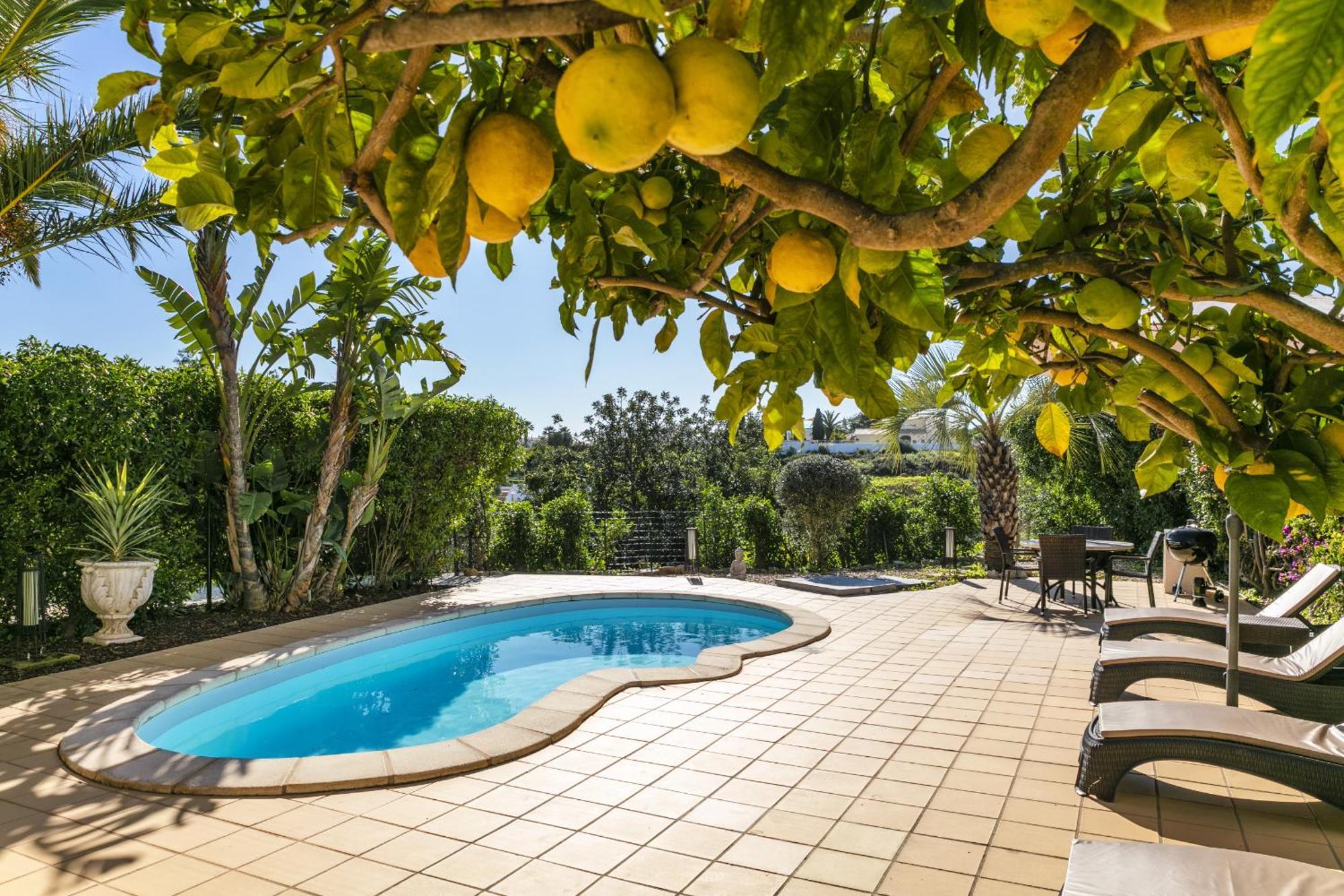 The Palm House Carvoeiro (Lagoa)