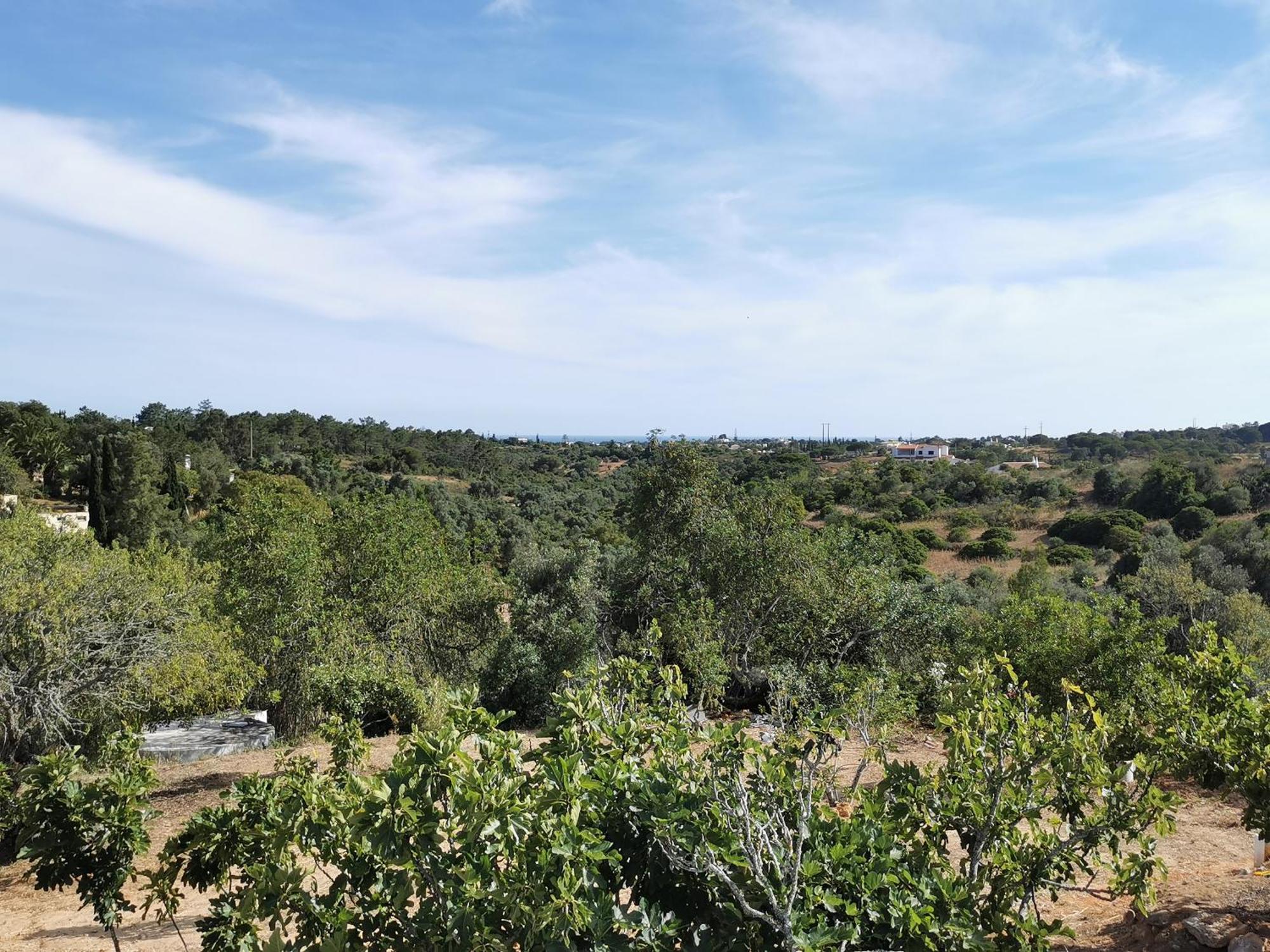 Holiday home Beguest Casas De Taipa *