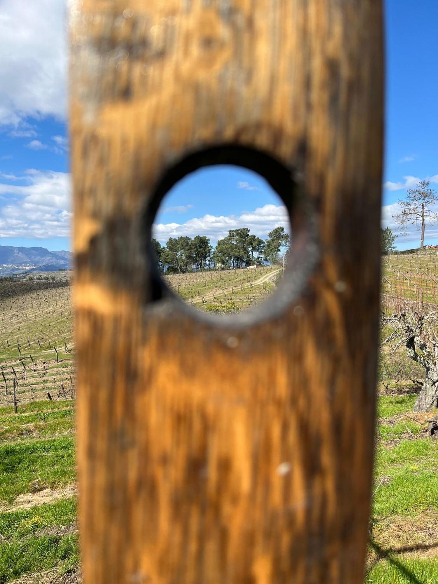 Guest house Quinta Da Estrada Winery Douro Valley 4*