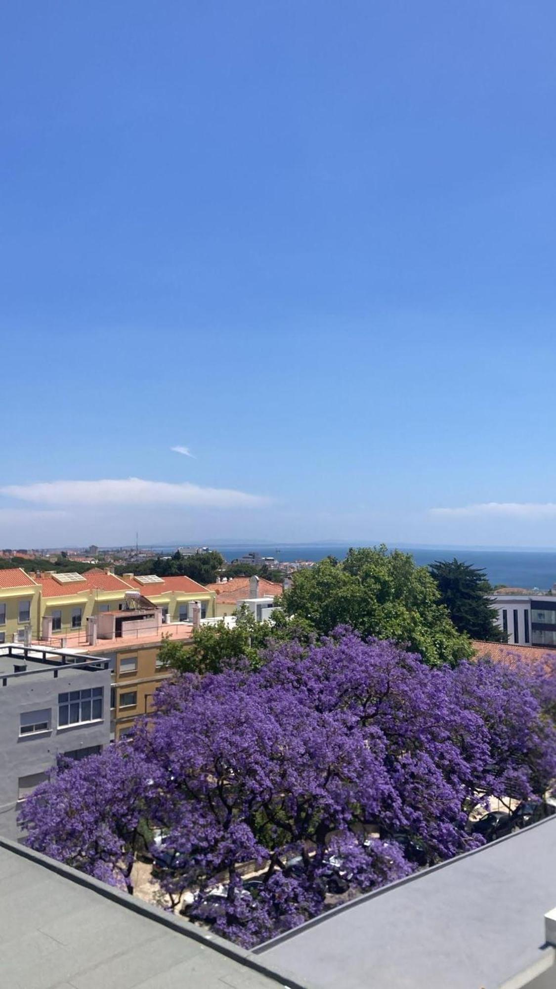 Apartment View & Location - 4 People