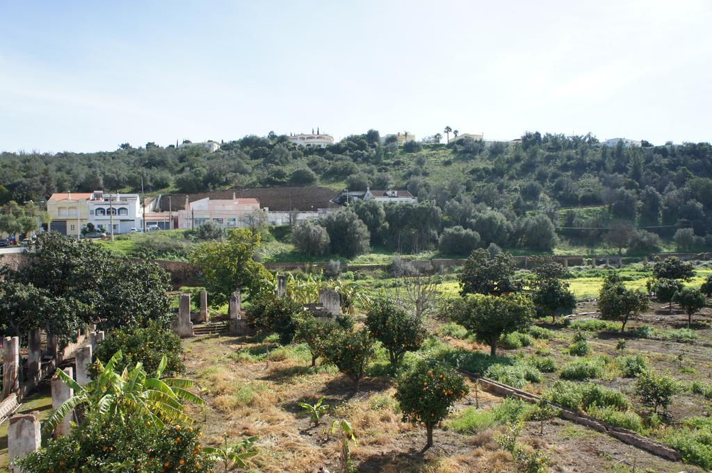 Horta Grande 2*