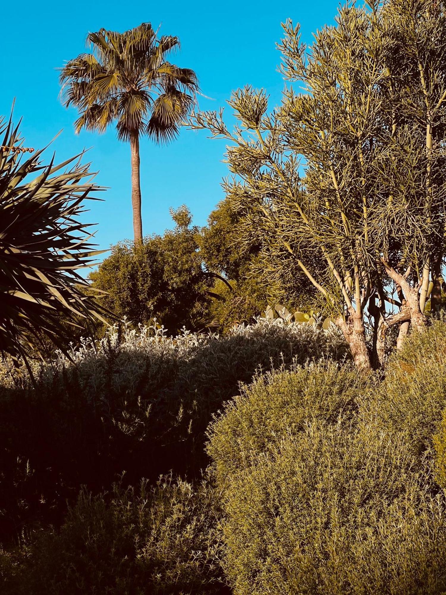 Casa Da Ria Villa Tavira