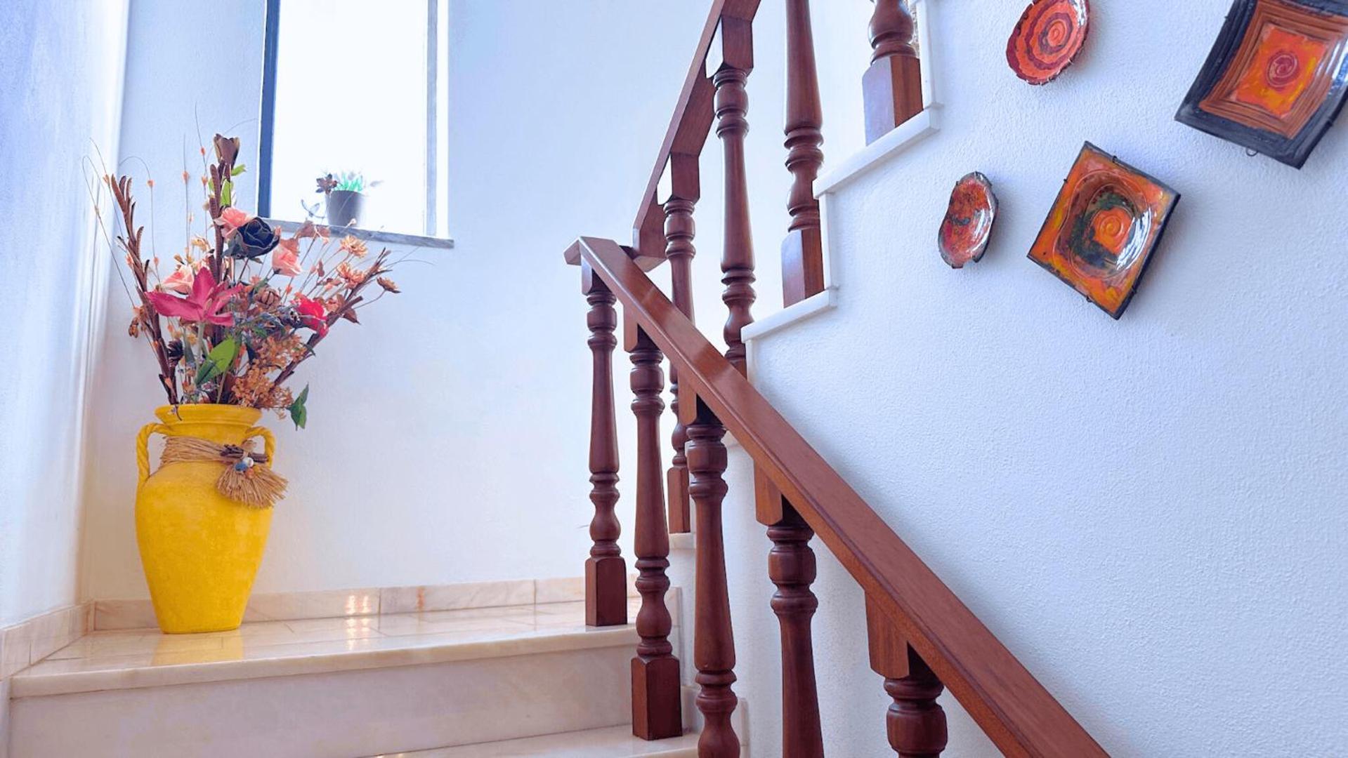 Casa Ficus *