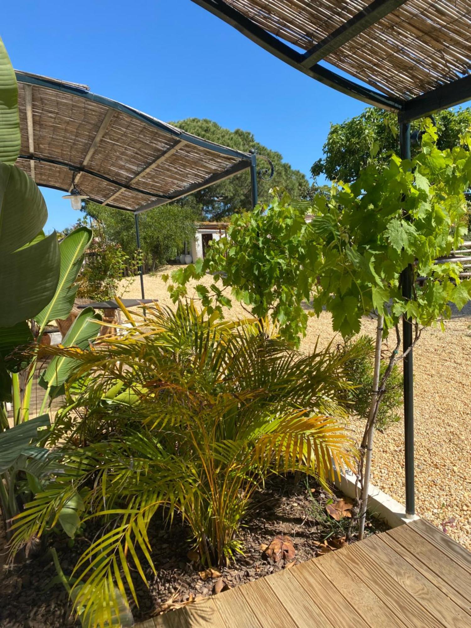 Quinta Baltazar Guest house