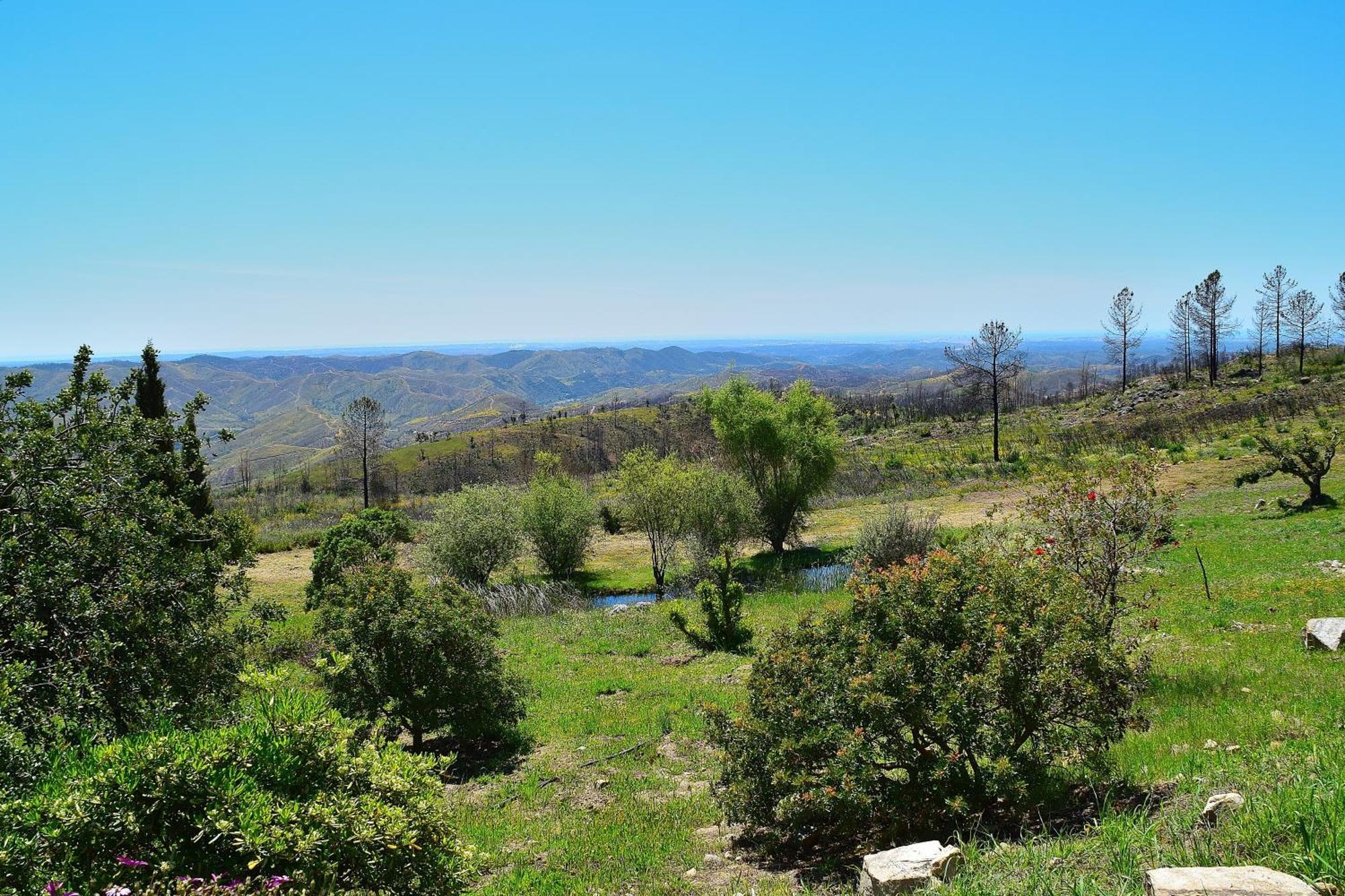 Quinta O Ninho Bed & Breakfast Monchique