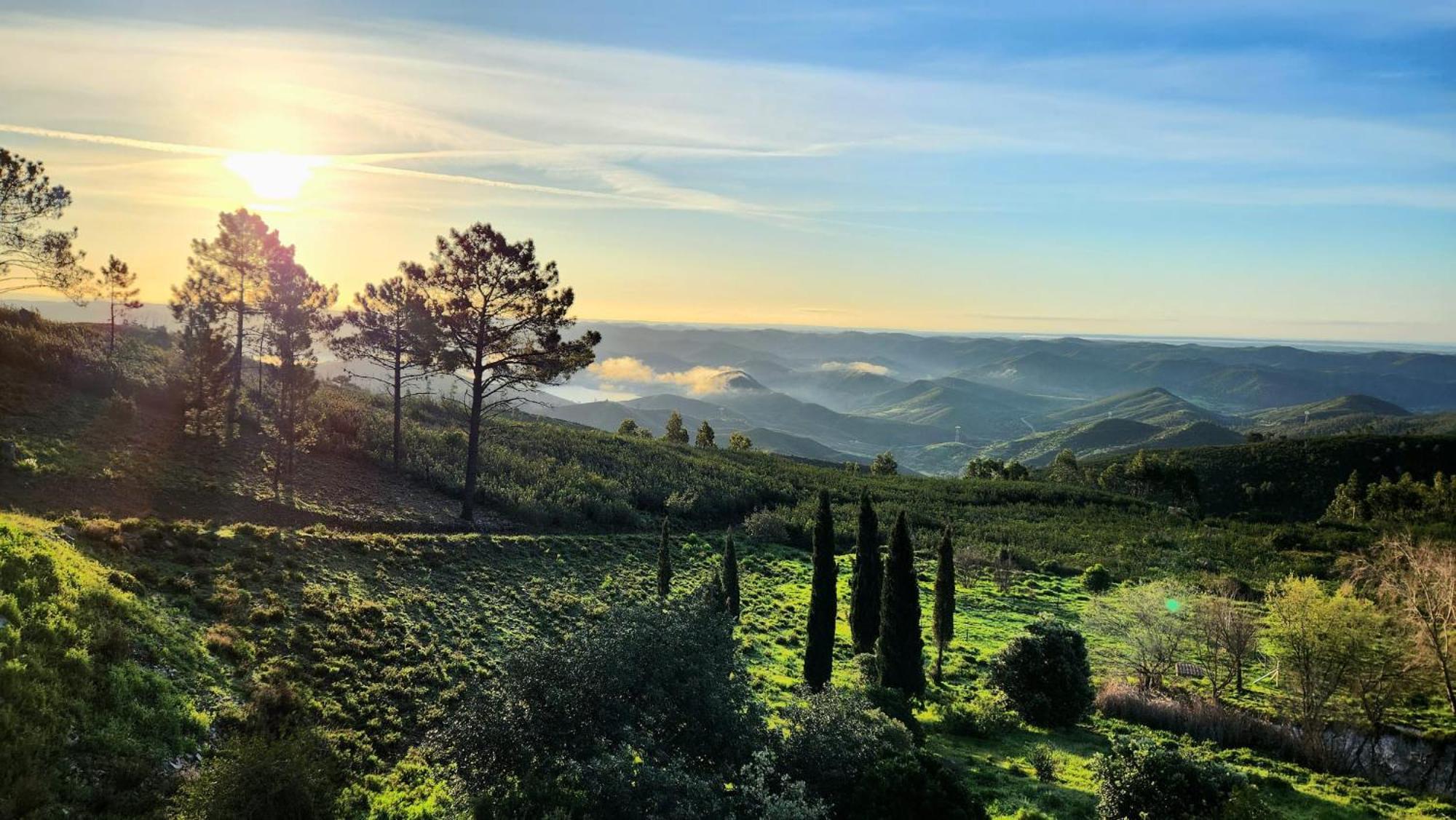 Bed & Breakfast Quinta O Ninho
