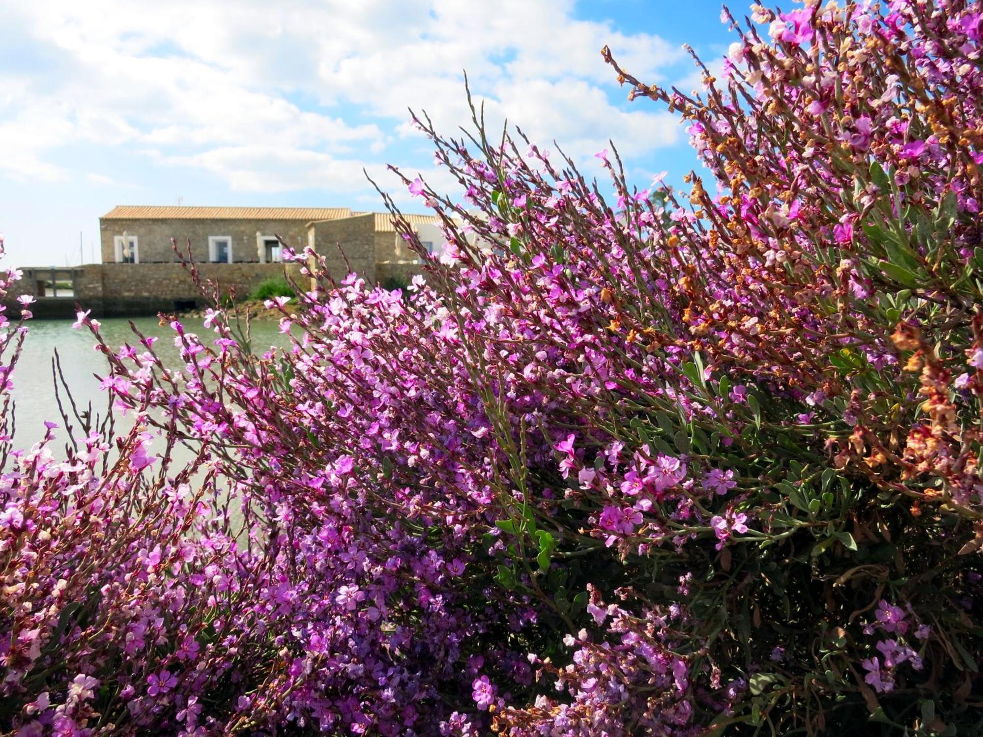 Guest house Moinhos Das Mares