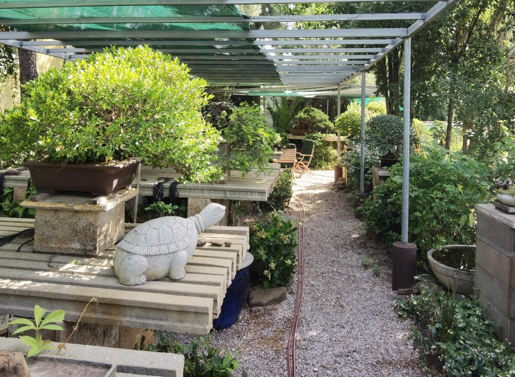 Quinta Eirinhas-jardim De Bonsai Aparthotel