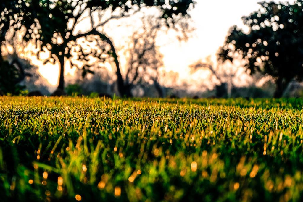 Quinta Dos Cochichos *