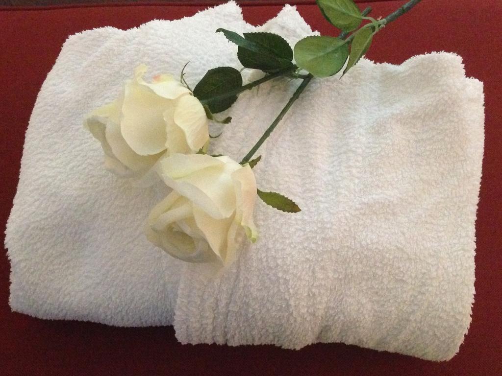 Encosta Da Luxury Bed & Breakfast Carvoeiro (Lagoa)