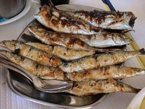 Torralta *