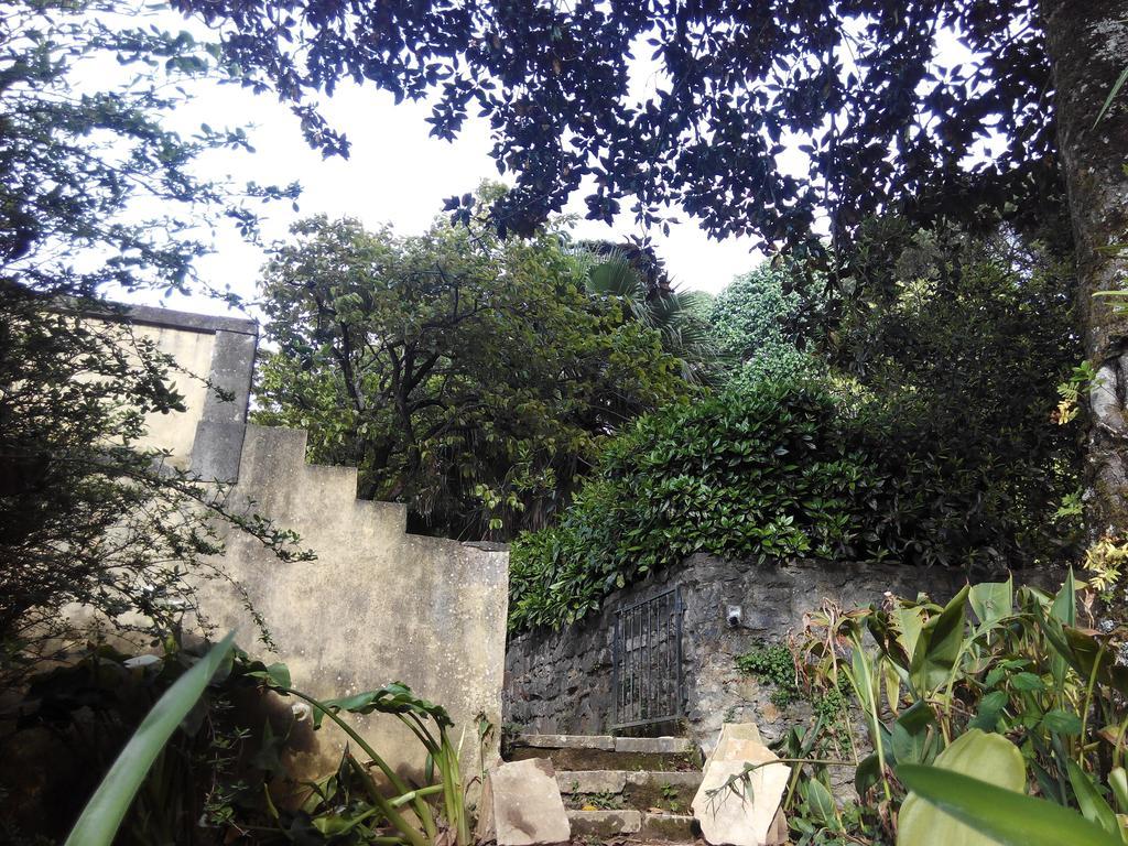 Bed and breakfast Dos Poetas 5*
