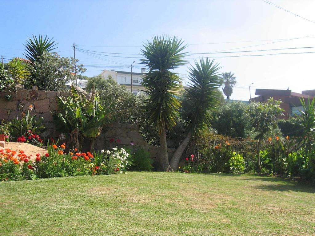 Сasa de vacaciones Orchidea Terrace