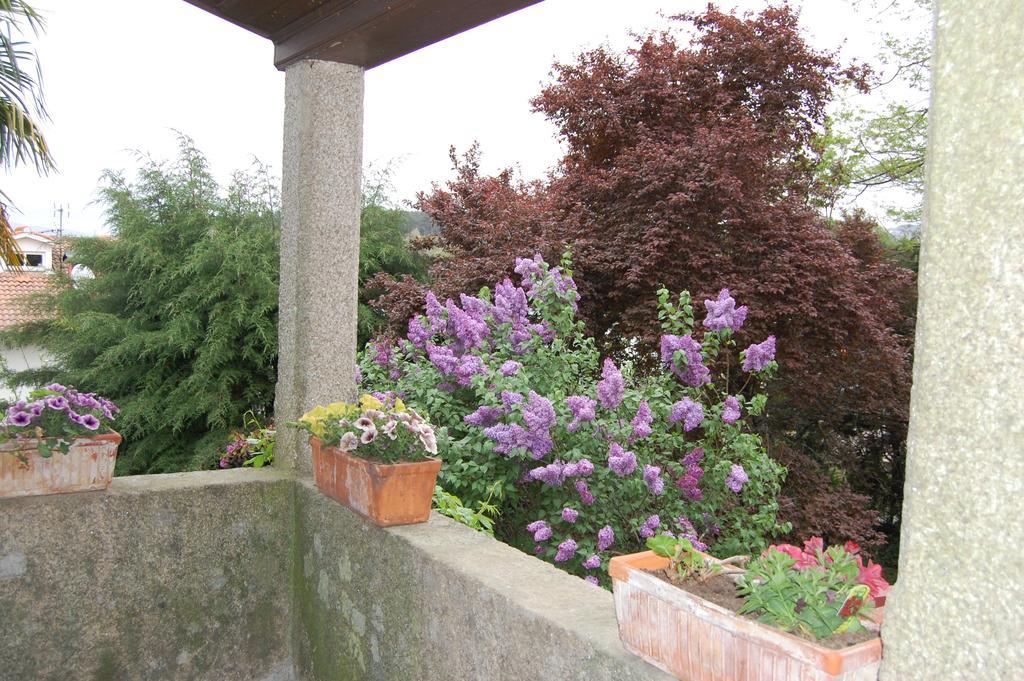 Guest house Casa Da Quinta De S. Martinho Vila Real