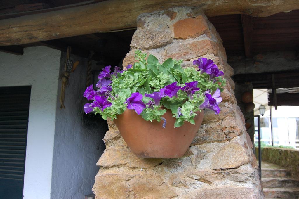 Casa Da Quinta De S. Martinho