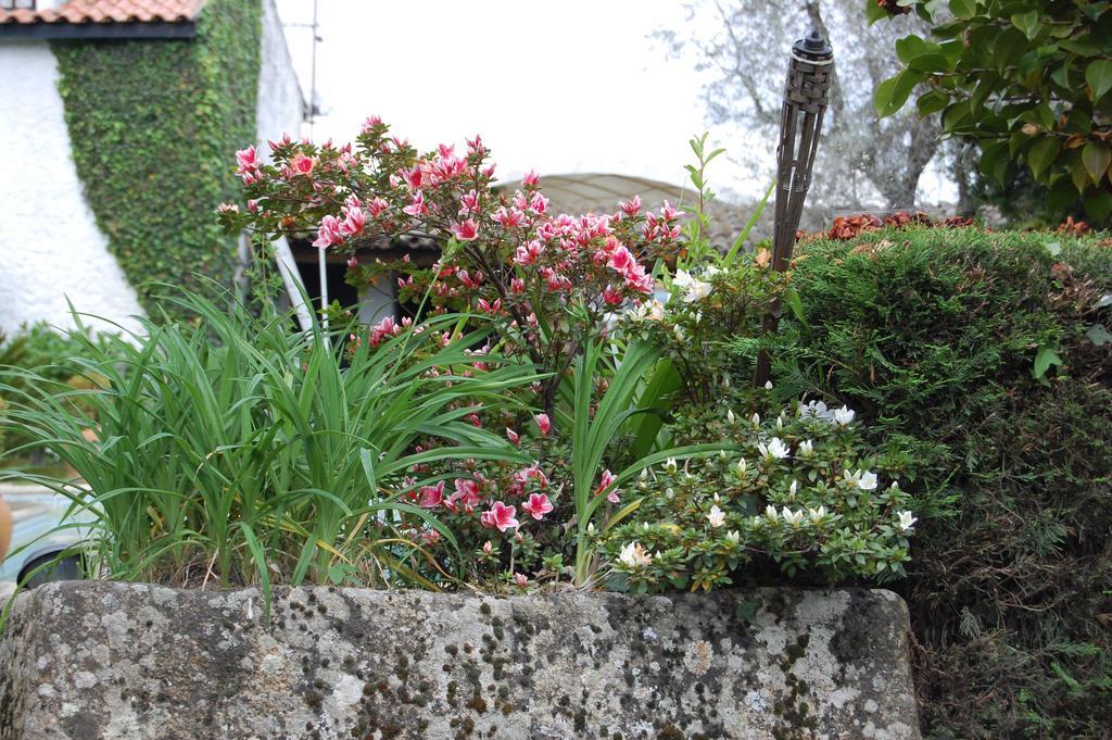 Guest house Casa Da Quinta De S. Martinho