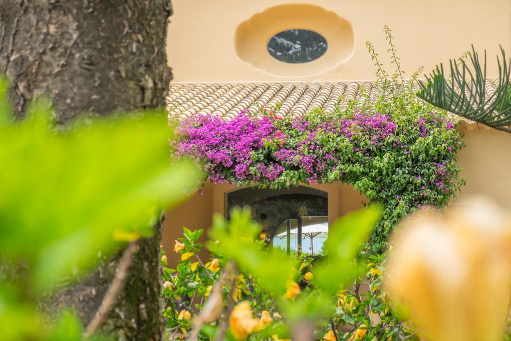 Resort Joya 5*