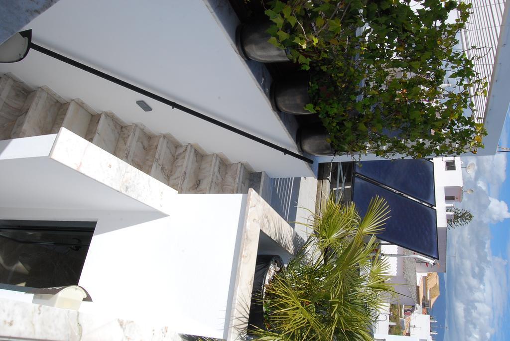 The Birds Nest Holiday home Alvor