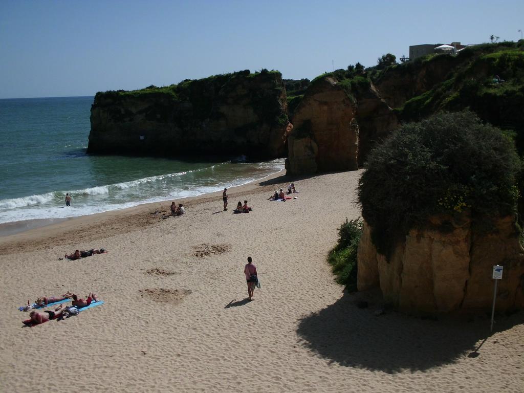Moradia Perto Dos Palmares