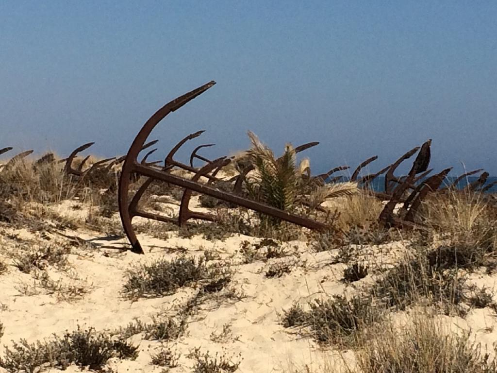 Apartamento Pedras Del Rei, Nature&beach
