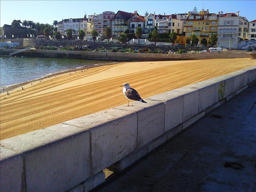 Apartamento Casa Buganvilia Cascais